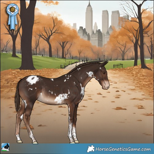 Horse Color:White Spotted Liver Chestnut Tobiano Appaloosa Rabicano 
