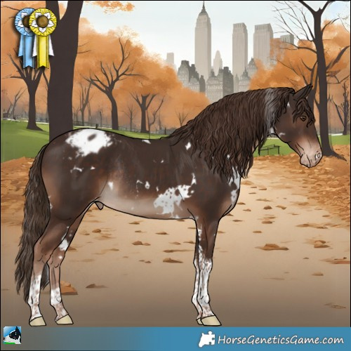 Horse Color:White Spotted Liver Chestnut Tobiano Appaloosa Rabicano 