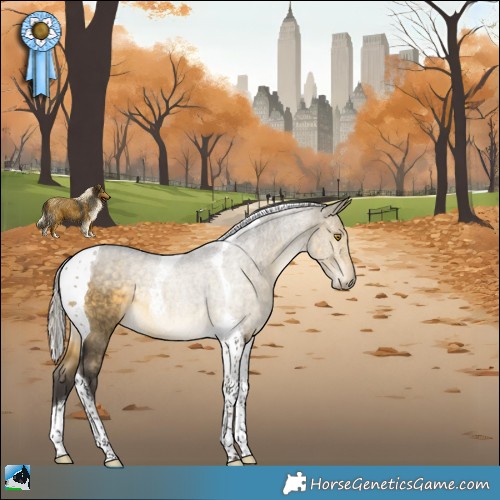 Horse Color:Silver Buckskin Dun Tobiano Rabicano