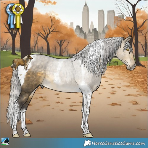 Horse Color:Silver Buckskin Dun Tobiano Rabicano 