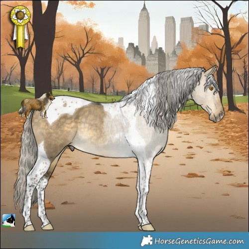 Horse Color:Silver Buckskin Dun Tobiano Rabicano 