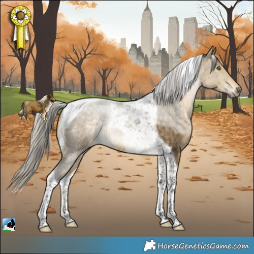 Horse Color:Silver Buckskin Dun Tobiano Rabicano 