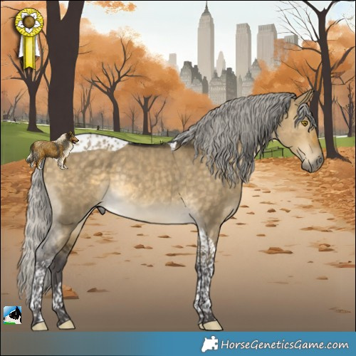 Horse Color:Silver Buckskin Dun Tobiano Rabicano 