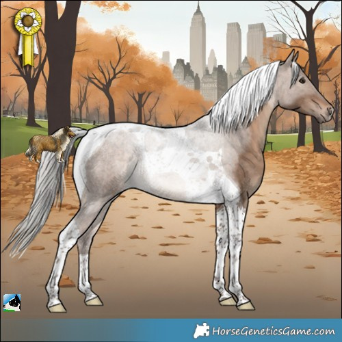 Horse Color:Silver Bay Dun Tobiano Rabicano 