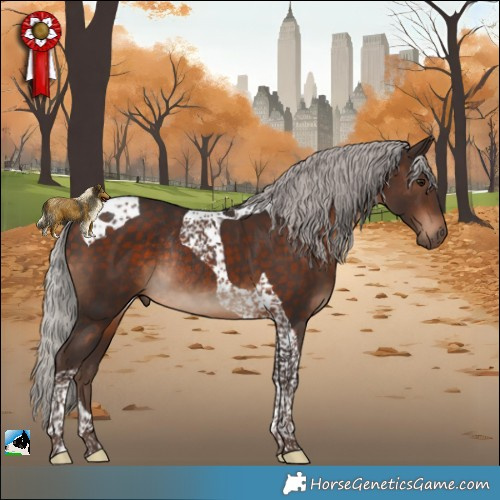 Horse Color:Silver Bay Tobiano Rabicano 
