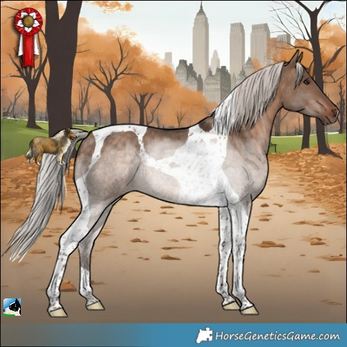 Horse Color:Silver Bay Dun Tobiano Rabicano 