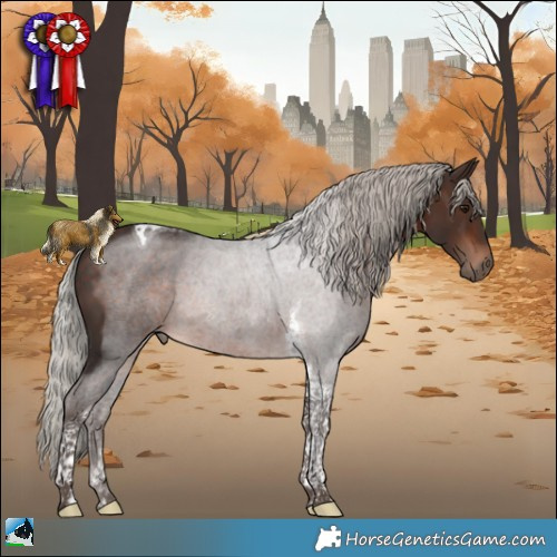 Horse Color:Silver Bay Tobiano 