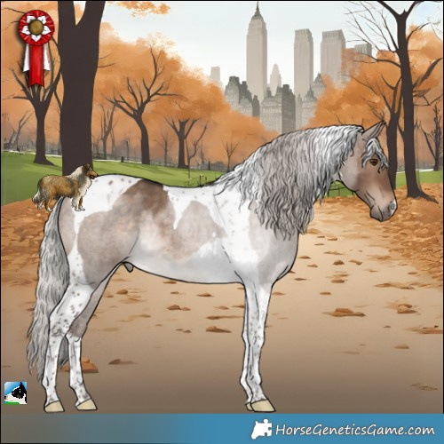 Horse Color:Silver Bay Dun Tobiano Rabicano 