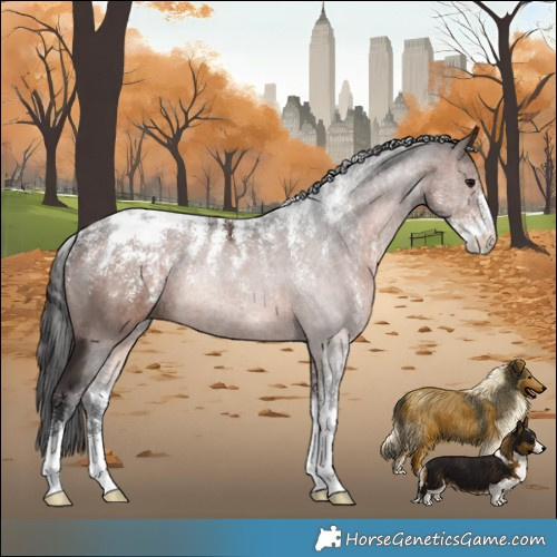 Horse Color:Powder White Brown 