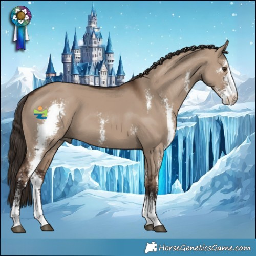 Horse Color:Liver Red Dun Sabino 
