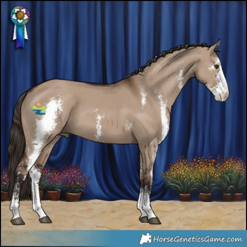 Horse Color:Liver Red Dun Sabino 