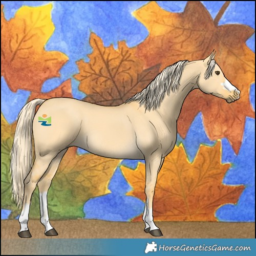 Horse Color:Palomino Dun 
