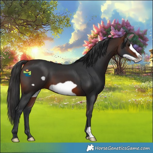 Horse Color:Brown Frame 