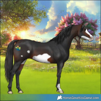 Horse Color:Brown Frame 