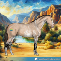 Horse Color:White Spotted Bay Dun 