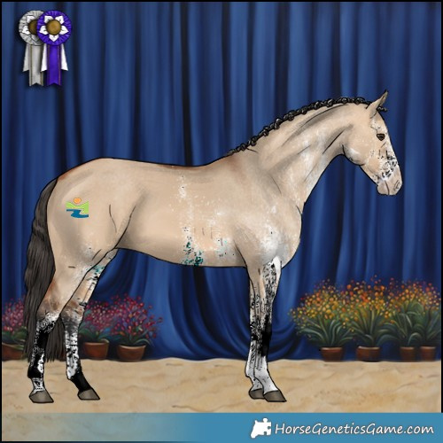 Horse Color:White Spotted Bay Dun 