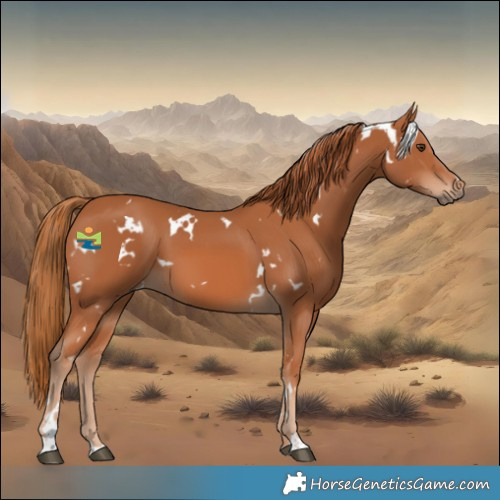 Horse Color:White Spotted Chestnut 