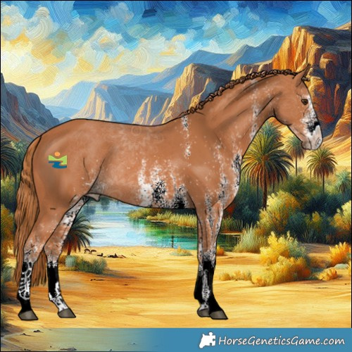 Horse Color:White Spotted Chestnut 