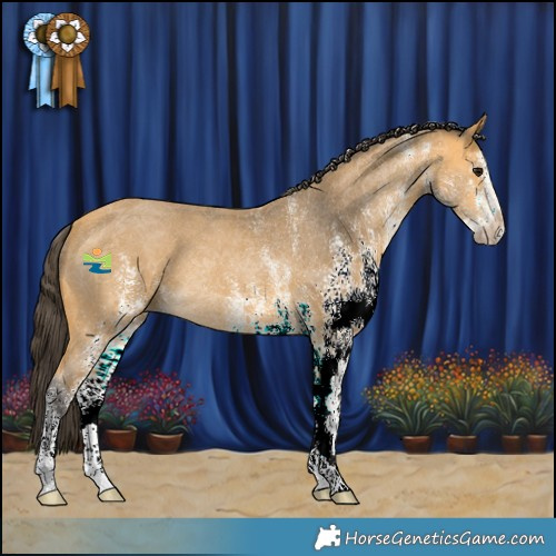 Horse Color:White Spotted Buckskin 