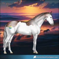 Horse Color:Gray Bay Splash