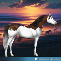 Horse Color:Gray Bay Splash 