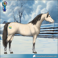 Horse Color:Powder White Buckskin Dun