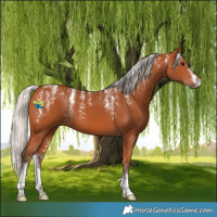 Horse Color:Powder White Silver Bay