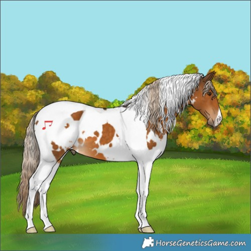 Horse Color:White Spotted Chocolate Palomino Tobiano