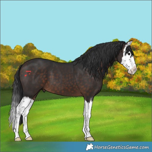 Horse Color:Brown Splash 