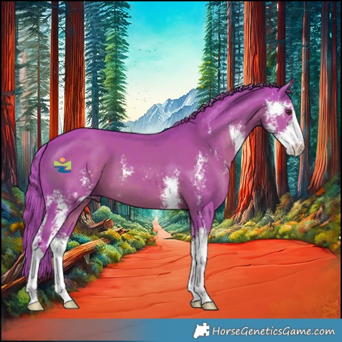 Horse Color:Watercolor Liver Chestnut Sabino 
