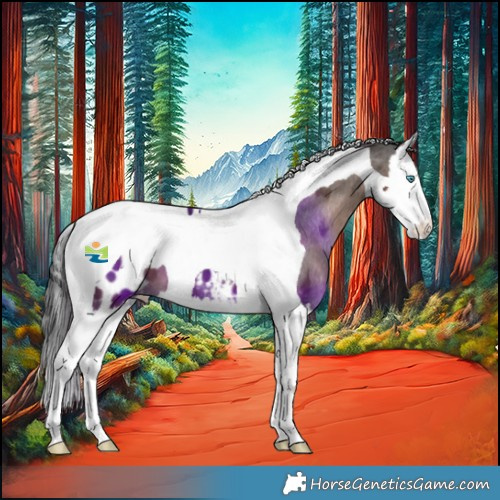 Horse Color:Liver Chestnut Splash Tobiano Blanket 