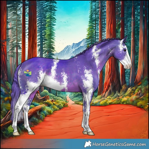 Horse Color:Watercolor Brown Sabino 
