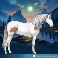 Horse Color:Black Pearl Splash Tobiano