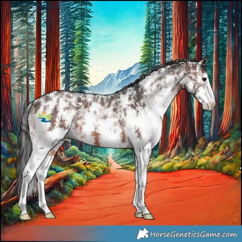 Horse Color:Brown Ice Sabino 