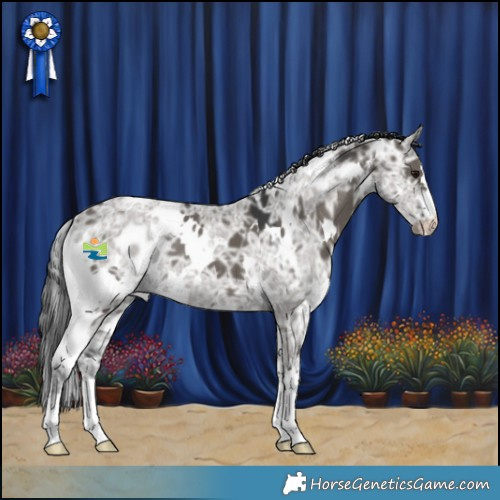 Horse Color:White Spotted Grullo Ice 