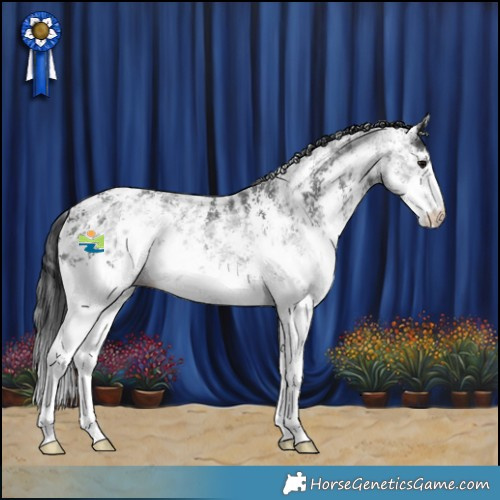 Horse Color:Black Ice Sabino 