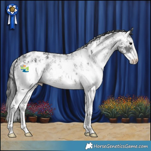 Horse Color:Black Ice Sabino 