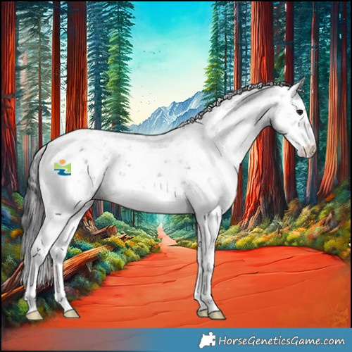 Horse Color:Brown Ice Sabino 