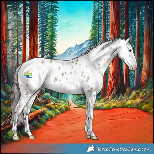Horse Color:Brown Ice Dun Sabino Leopard 
