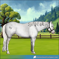 Horse Color:Gray Silver Amber Cream Champagne Roan Dun Splash Tobiano Frame Near Leopard Rabicano 