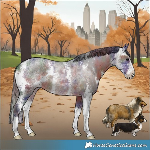 Horse Color:Nacre Brown Ice Sabino 