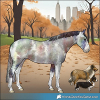 Horse Color:Nacre Brown Ice Sabino 