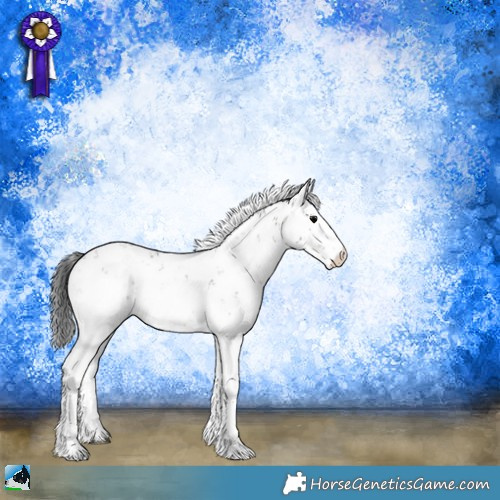 Horse Color:Grullo Onyx Sabino Rabicano 