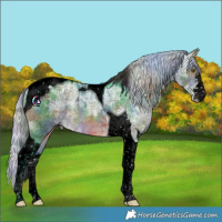 Horse Color:Void Nacre Watercolor Silver Brown Ice Tobiano 