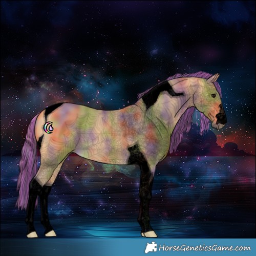 Horse Color:Void Painted Nacre Buckskin Tobiano 