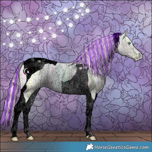 Horse Color:Void Painted Cremello Ice Tobiano Rabicano