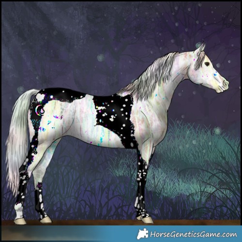 Horse Color:Nacre Silver Bay Ice Tobiano Rabicano