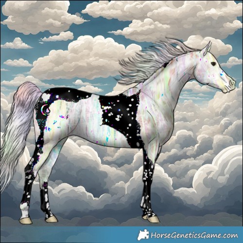 Horse Color:Nacre Silver Bay Ice Tobiano Rabicano