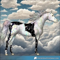 Horse Color:Nacre Silver Bay Ice Tobiano Rabicano 