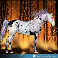 Horse Color:Painted Watercolor White Spotted Silver Bay Ice Tobiano Rabicano